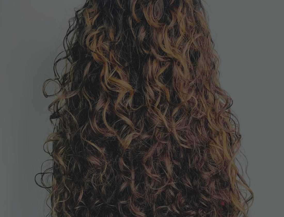 Close-up of long, curly, brown hair with blonde highlights.