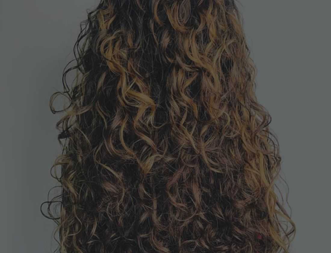 Close-up of long, curly, brown hair with blonde highlights.